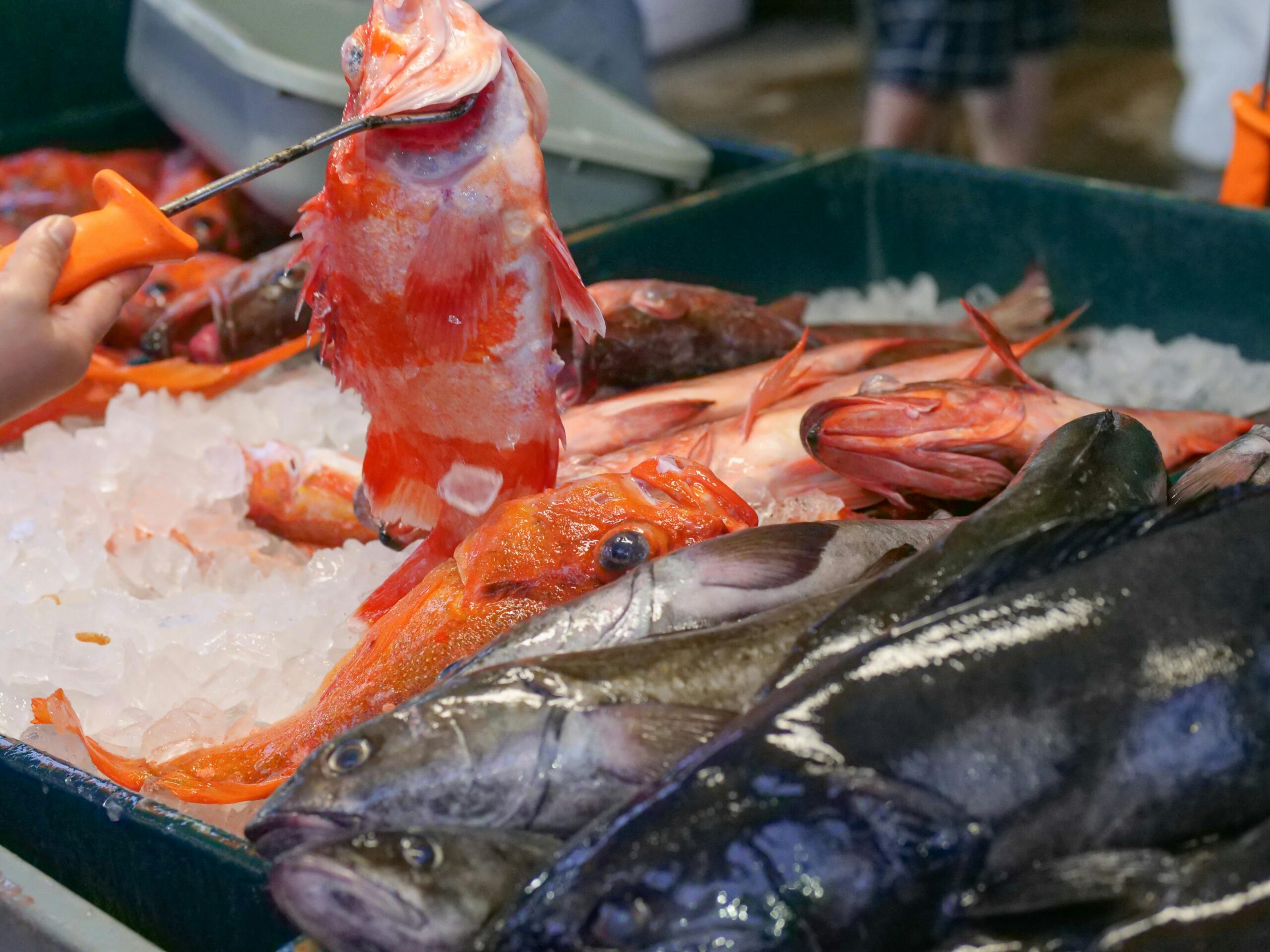 Servicios de pescadería online en Roquetas del Mar